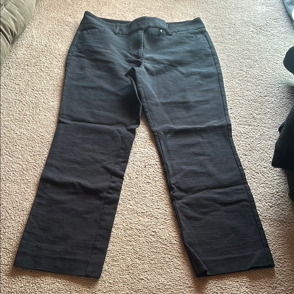 Ann Taylor pants